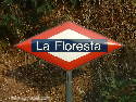 Floresta